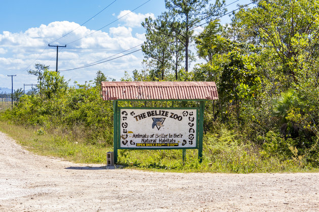 Animals at the Belize Zoo