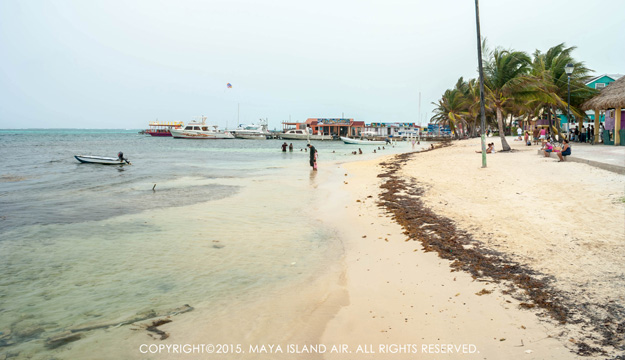 San Pedro Lobsterfest 2015