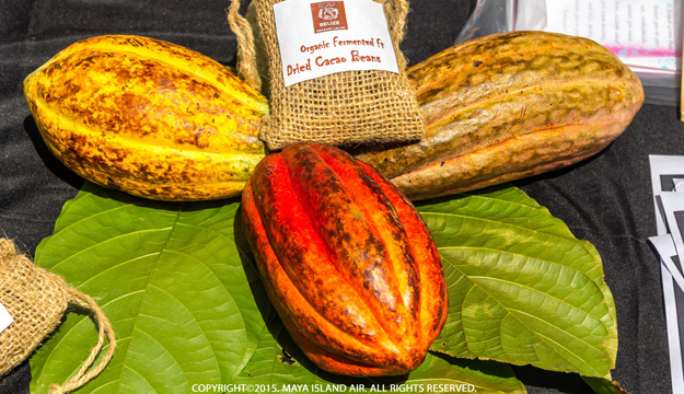 Chocolate Festival of Belize