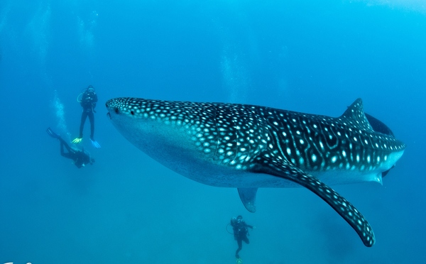 Top 5 Activities for the Easter Break in Belize