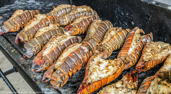 Lobsterfest in Belize