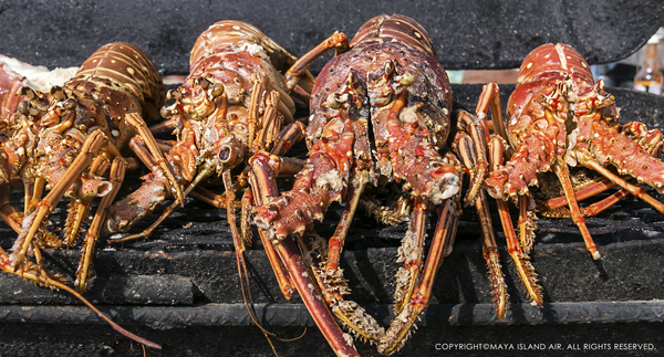 Lobsterfest in Belize